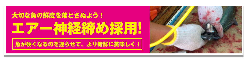 お得に釣りを楽しめる特典が満載!正徳丸オフィシャル会員様募集!